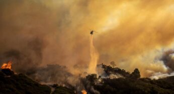 Hollywood Hills Fire: Evacuations and Challenges in Los Angeles