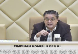 Democracy Mafia Commission II Calls to Limit Repeat Voting