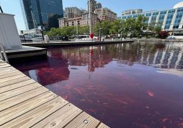 Diesel Spill Contained at Baltimore Waterfront, Cleanup Underway