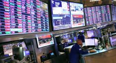 Wall Street Rallies as Strong Job Data and Tesla Rebound Boost Confidence