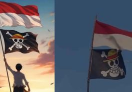 One Piece Flag Sparks Debate Over National Celebration