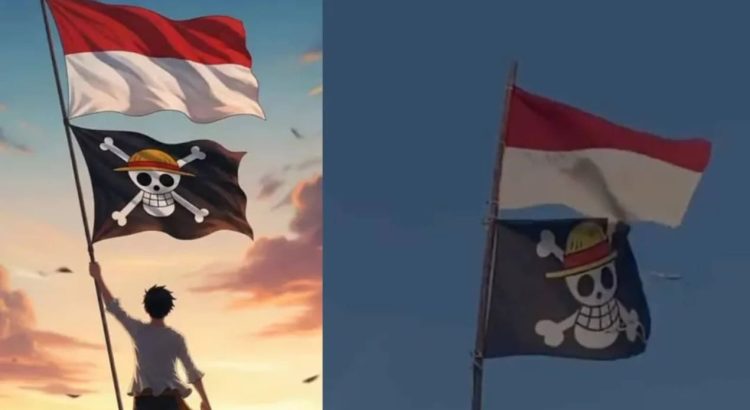 One Piece Flag Sparks Debate Over National Celebration